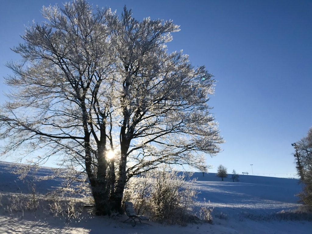 Wandern Steinbergs Wildewiese